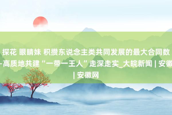 探花 眼睛妹 积攒东说念主类共同发展的最大合同数——高质地共建“一带一王人”走深走实_大皖新闻 | 安徽网
