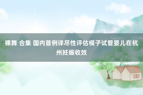 裸舞 合集 国内首例详尽性评估模子试管婴儿在杭州妊娠收效