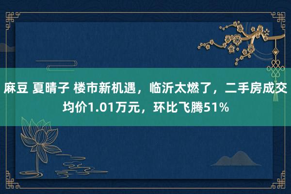麻豆 夏晴子 楼市新机遇，临沂太燃了，二手房成交均价1.01万元，环比飞腾51%