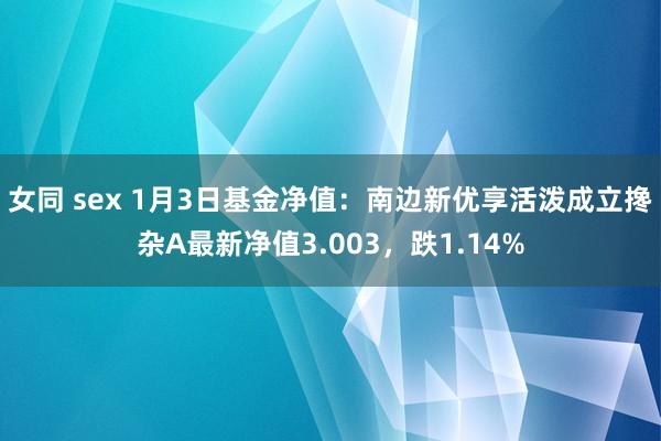 女同 sex 1月3日基金净值：南边新优享活泼成立搀杂A最新净值3.003，跌1.14%
