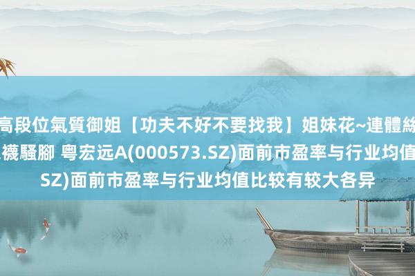高段位氣質御姐【功夫不好不要找我】姐妹花~連體絲襪~大奶晃動~絲襪騷腳 粤宏远A(000573.SZ)面前市盈率与行业均值比较有较大各异