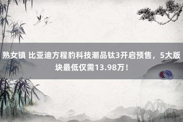 熟女镇 比亚迪方程豹科技潮品钛3开启预售，5大版块最低仅需13.98万！