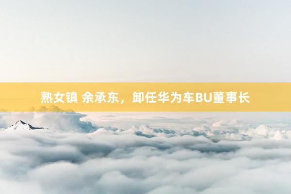 熟女镇 余承东，卸任华为车BU董事长