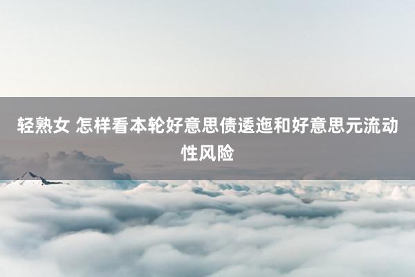 轻熟女 怎样看本轮好意思债逶迤和好意思元流动性风险