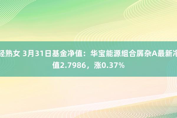 轻熟女 3月31日基金净值：华宝能源组合羼杂A最新净值2.7986，涨0.37%